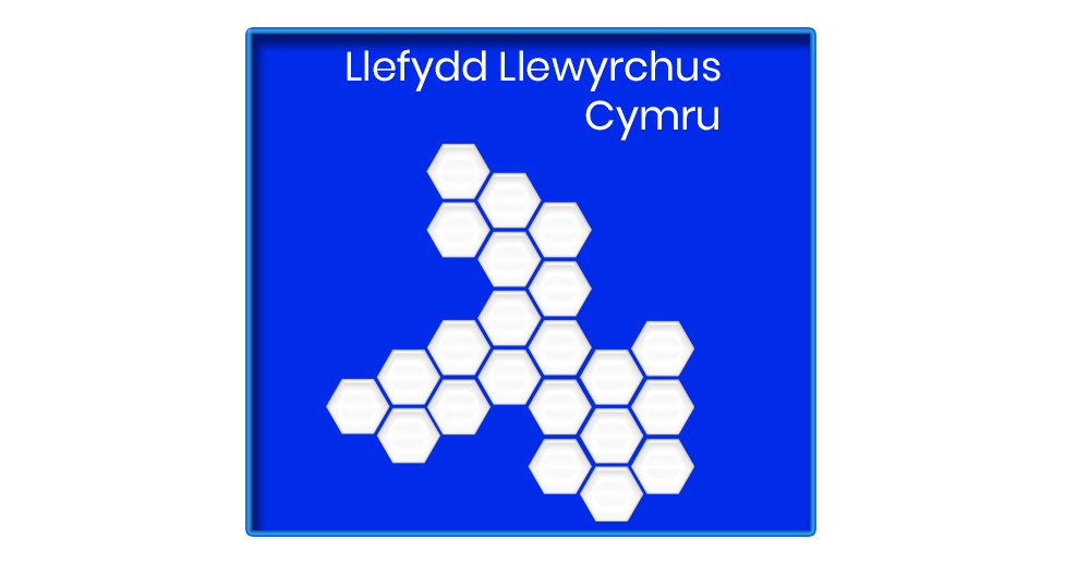 Llefydd Llewyrchus Thriving Places Wales logo